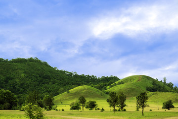 Fototapeta na wymiar Green hills