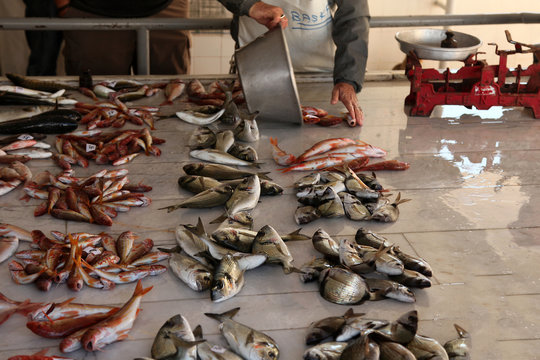 variety fish market in turkey izmir