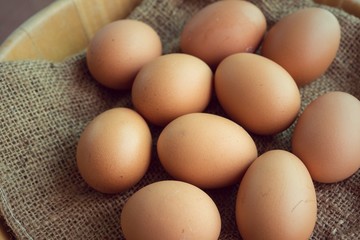 Fresh egg from a chicken farm