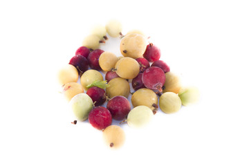 Frozen gooseberries isolated