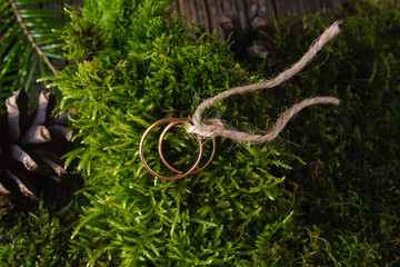Two golden wedding rings on moss