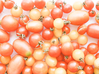 Retro looking Tomato vegetables