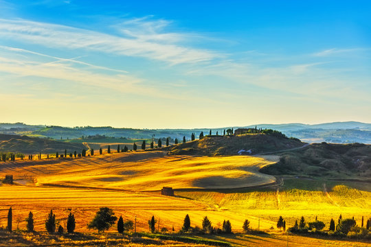Tuscany, rural landscape. Countryside farm, green fields and cyp
