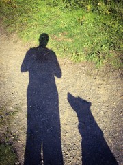 Man and dog cast silhouettes whilst out walking