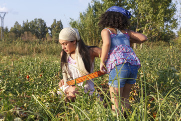 Obraz premium Niña pequeña y adolescente recogiendo tomate. Recolectando tomate. Campo de tomates. Niñas de ciudad disfrutando de la agricultura.