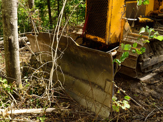 Front View of Dozer in Forest