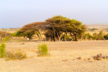 Rural landscape in Ethiopia