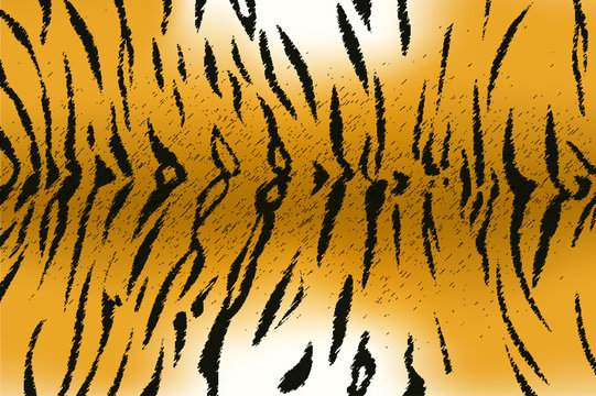 bengal tiger stripe pattern
