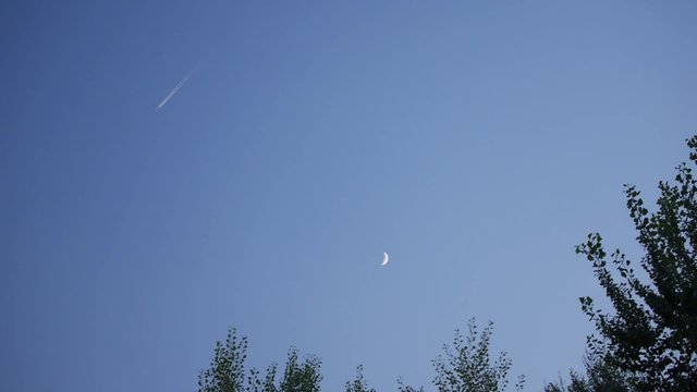 paisaje con cielo despejado azul luna avión árboles