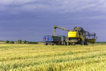 Harvest, fields and meadows during harvest