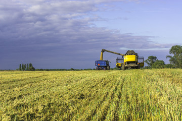 Harvest, fields and meadows during harvest