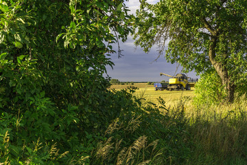 Harvest, fields and meadows during harvest
