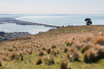 View to Christchurch and Pegasus Bay, New Zealand - obrazy, fototapety, plakaty