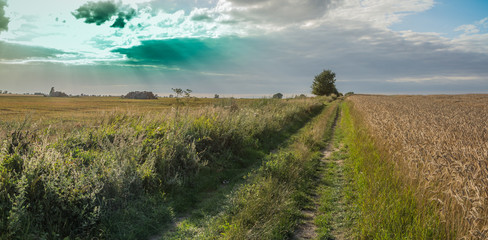 Fields and meadows during harvest