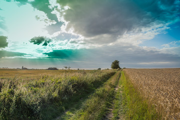 Obraz premium Fields and meadows during harvest
