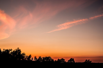 A beautiful sunset with beautiful tree silhouette