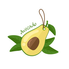 avocado vector illustration