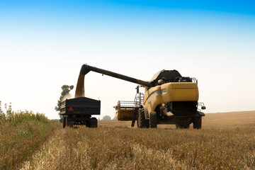 Harvest, fields and meadows during harvest