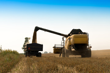 Harvest, fields and meadows during harvest