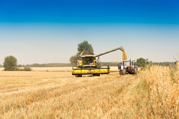 Harvest, fields and meadows during harvest