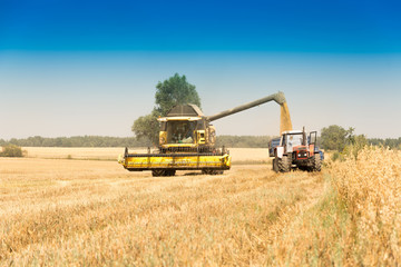 Harvest, fields and meadows during harvest