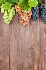 Bunch of colorful grapes with leaves