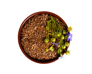 isolated bowl with flax seeds and flax flower. View from above