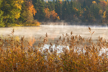 Fototapety  Mgła nad jeziorem w jesiennym krajobrazie