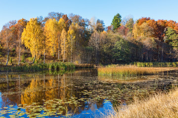 Autumn colors reflecting in a lake