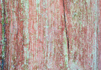 Old painted wood background of barn door texture