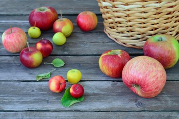 A variety of apples