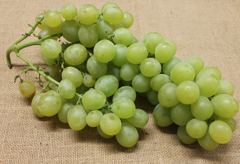 grappe de raisin