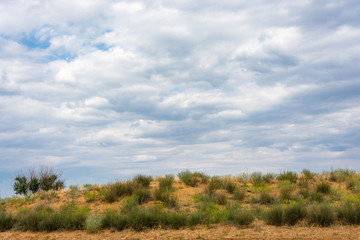 Fototapeta na wymiar The steppe landscape.
