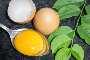 Fresh egg on black table background