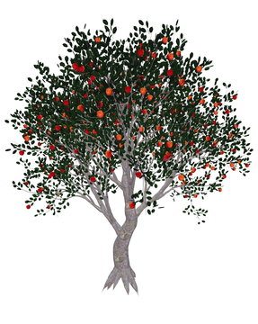 Apple tree - 3D render