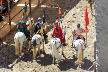 Chevalier lors du tournoi de joutes de Carcassonne