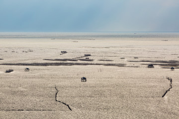 Mussel farming
