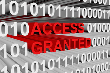 access granted is presented in the form of binary code