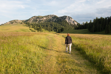 sentiero a Prato Piazza (Trentino Alto Adige)