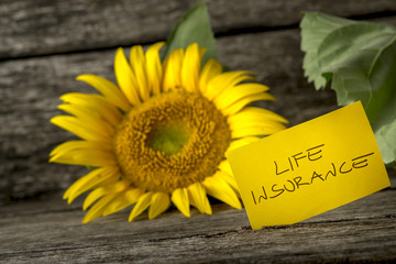 Life insurance concept with a colorful sunflower