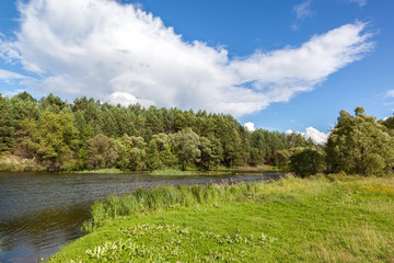 River in a pine forest with a sandy beach.