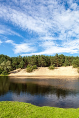 River in a pine forest with a sandy beach.