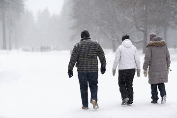 A group of three adults is walking in a terrible snow storm during winter. Snow blizzard is heavy.