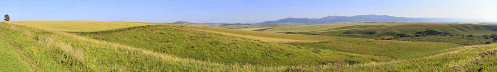 Fototapeta na wymiar Beautiful panorama agricultural fields in August.
