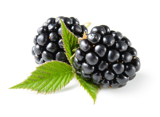 Blackberry isolated on white.