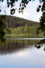 Fototapeta na wymiar A beautiful scenery through the birch leaves by the lake.