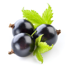 Black currant isolated on white.