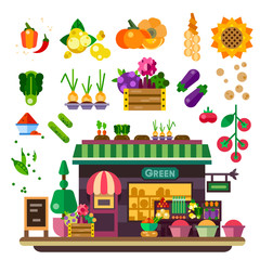 Farm shop: vegetables and fruits. Natural food, vegan lifestyle, count with food, autumn harvest. Vector flat illustration