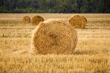 twisted straw