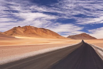 Photo sur Plexiglas Sécheresse Desert road through the Altiplano, Chile, altitude 4700m